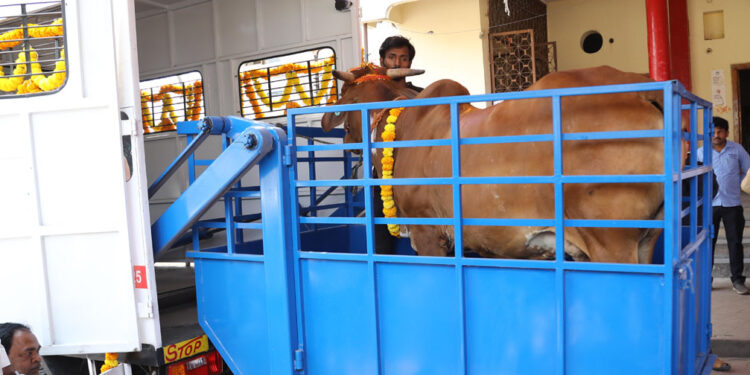 G S Helping Hands Foundation donates Hyderabad’s first of its kind Cattle Rescue Ambulance with a Hydraulic lift to Sri Krishna Goseva Mandal!